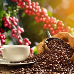 Tour de Café: La Candelaria